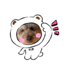 うちのにゃんぽち①（個別スタンプ：4）