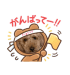 うちのにゃんぽち①（個別スタンプ：11）