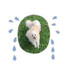 僕ダンボ！（個別スタンプ：3）