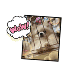 僕ダンボ！（個別スタンプ：6）