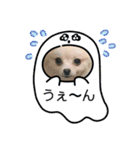 僕ダンボ！（個別スタンプ：13）