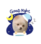 僕ダンボ！（個別スタンプ：17）