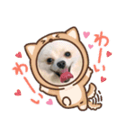 僕ダンボ！（個別スタンプ：22）