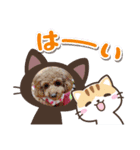 愛月と空パート7（個別スタンプ：1）