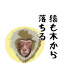 【真顔】動物ことわざ（個別スタンプ：5）