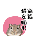 【真顔】動物ことわざ（個別スタンプ：18）