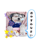 小鉄のごあいさつ（個別スタンプ：2）
