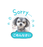 小鉄のごあいさつ（個別スタンプ：4）
