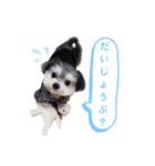 小鉄のごあいさつ（個別スタンプ：10）