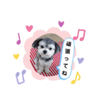 小鉄のごあいさつ（個別スタンプ：11）