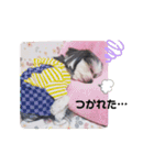 小鉄のごあいさつ（個別スタンプ：12）