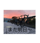 自転車ファミリー（個別スタンプ：8）