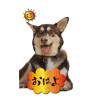 名前はJIRO（個別スタンプ：2）