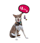 名前はJIRO（個別スタンプ：5）