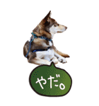名前はJIRO（個別スタンプ：6）