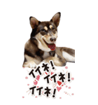 名前はJIRO（個別スタンプ：8）