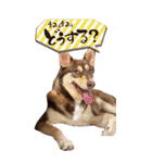 名前はJIRO（個別スタンプ：14）