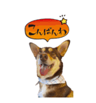 名前はJIRO（個別スタンプ：16）