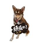 名前はJIRO（個別スタンプ：18）