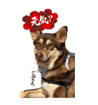 名前はJIRO（個別スタンプ：19）