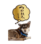 名前はJIRO（個別スタンプ：23）
