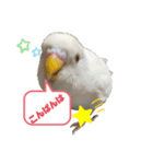 きなこ第2弾！（個別スタンプ：4）