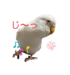きなこ第2弾！（個別スタンプ：5）