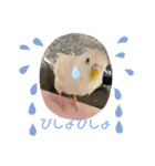 きなこ第2弾！（個別スタンプ：6）