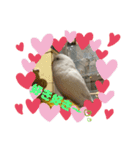 きなこ第2弾！（個別スタンプ：7）