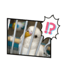 きなこ第2弾！（個別スタンプ：8）