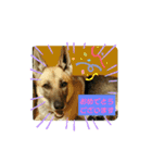 グリーンファミリー4（個別スタンプ：2）