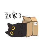 ツリーハウスの猫2.0（個別スタンプ：2）