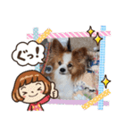 ぱぴぱぴパピヨン12（個別スタンプ：13）