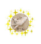 maromaron0522（個別スタンプ：2）