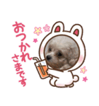 maromaron0522（個別スタンプ：10）