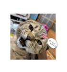 姫とじゃがいも（個別スタンプ：1）