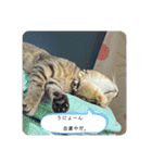 姫とじゃがいも（個別スタンプ：13）