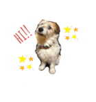 sakaguchi animal's with boss（個別スタンプ：6）