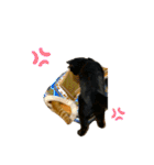 sakaguchi animal's with boss（個別スタンプ：7）