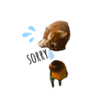sakaguchi animal's with boss（個別スタンプ：8）