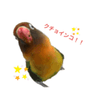 sakaguchi animal's with boss（個別スタンプ：14）