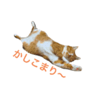 sakaguchi animal's with boss（個別スタンプ：23）