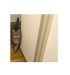 〜キヨの日常〜（個別スタンプ：2）