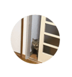 〜キヨの日常〜（個別スタンプ：7）