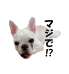 ミラ専用スタンプ2（個別スタンプ：7）