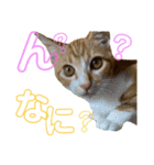 ちくわ大臣3（個別スタンプ：5）