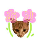 ちくわ大臣3（個別スタンプ：7）