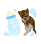 ちくわ大臣3（個別スタンプ：11）