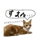 ちくわ大臣3（個別スタンプ：21）