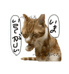 ちくわ大臣3（個別スタンプ：24）